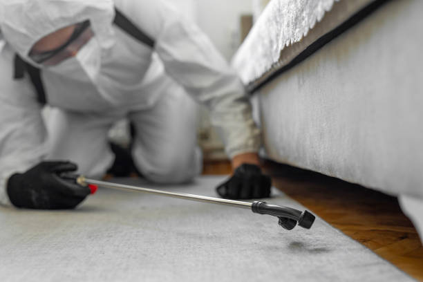 Professional Emergency Pest Control technician working in West Glens Falls, NY