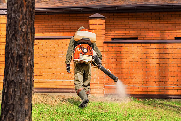 Trusted Ant Control service in West Glens Falls, NY - Nex Pest Control
